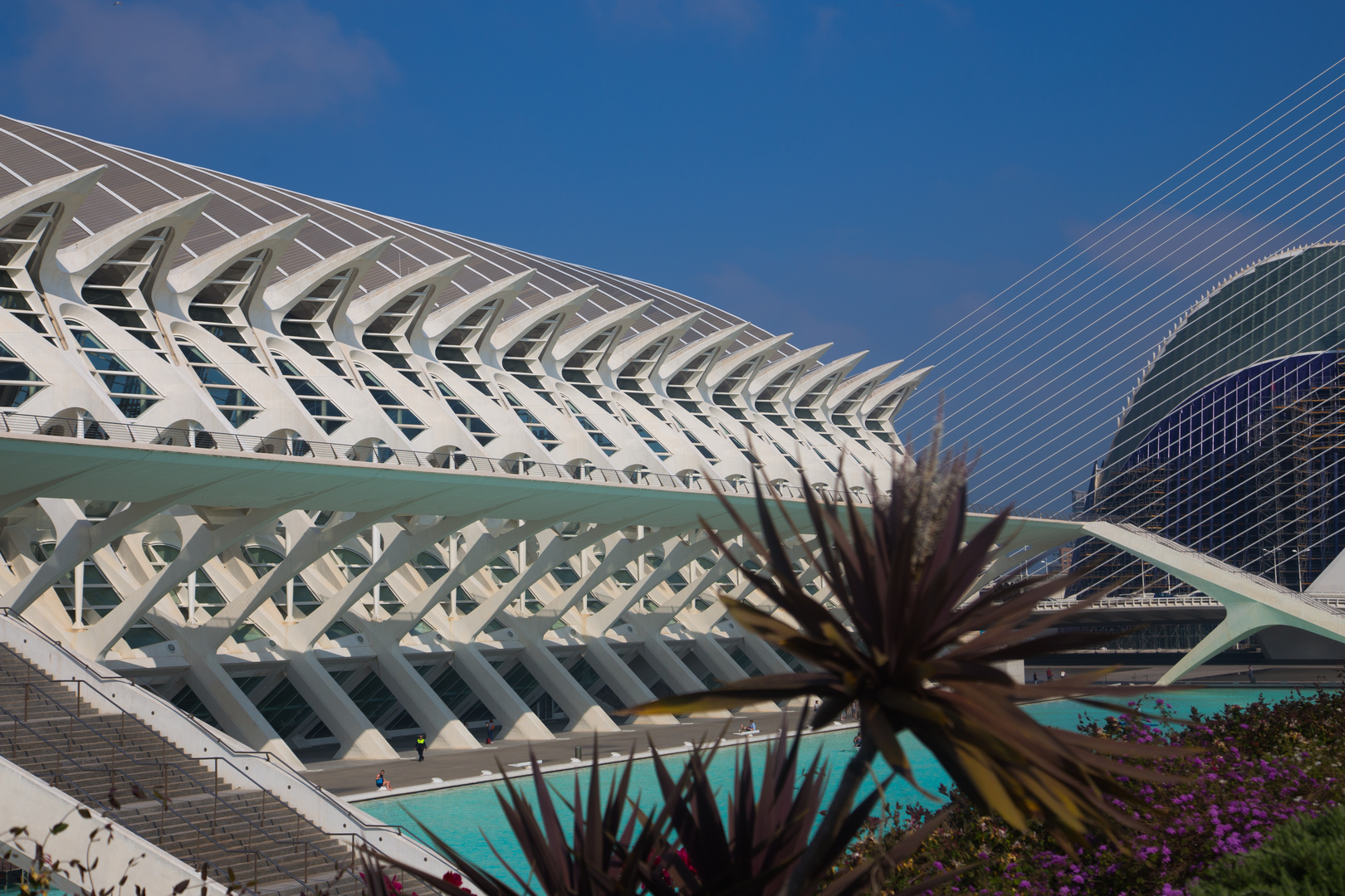 Ciutat des Arts i de les Ciencies