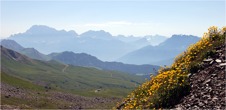 Civetta mit Hahnenfuß-Deko