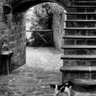 Civita di Bagnoregio vicolo con arco