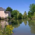 Civray - Bord de Charente - Colza, que fais-tu là ?