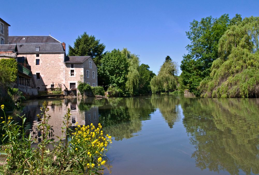 Civray - Bord de Charente - Colza, que fais-tu là ?