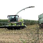 CLAAS 960 JAGUAR