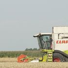 Claas Banner