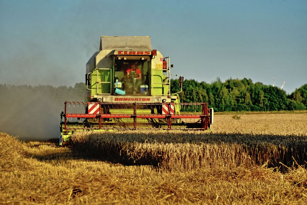 CLAAS bei der Arbeit 1