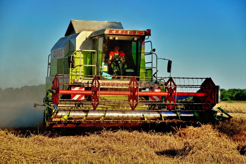 CLAAS bei der Arbeit 2