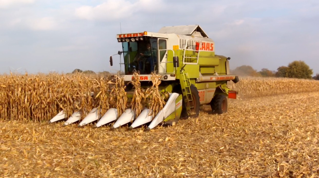 CLAAS Dominator 208 MEGA im Einsatz