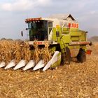 CLAAS Dominator 208 MEGA im Einsatz