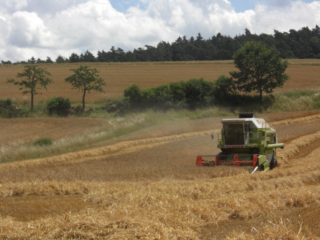 Claas Dominator 86