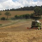 Claas Dominator 86