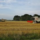 CLAAS Doppelpack