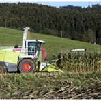 Claas Jaguar 870