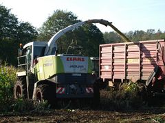 CLAAS Jaguar 870 Speedstar im Mais - Einsatz