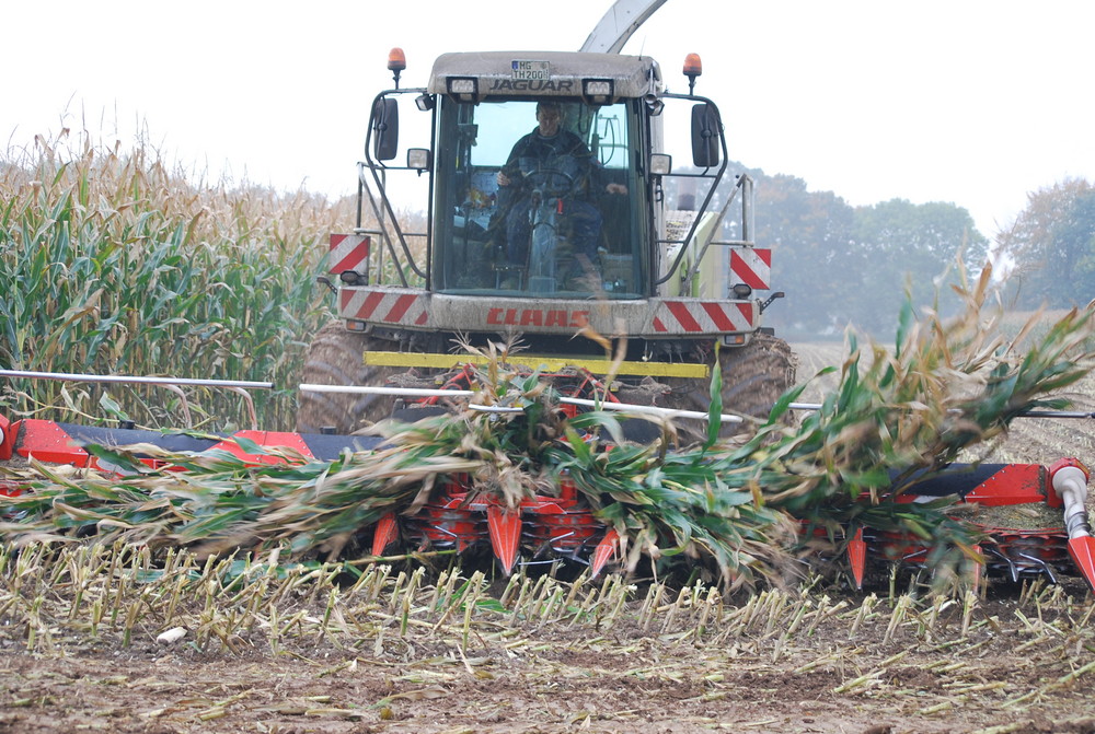 Claas Jaguar 900