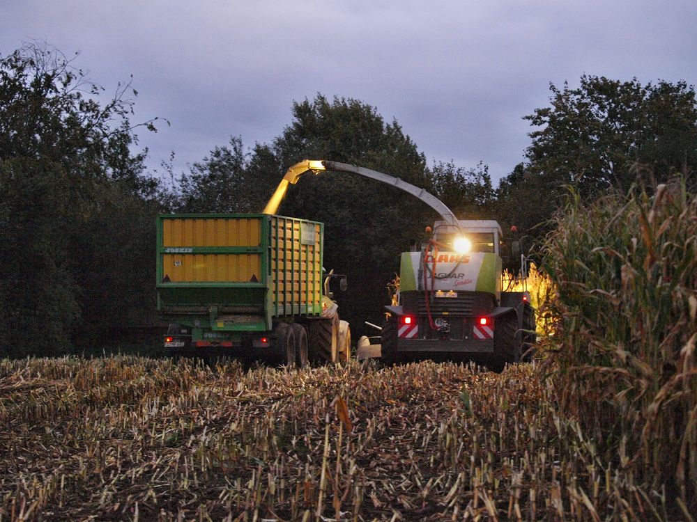 Claas Jaguar Speedstar auf Nachtschicht.