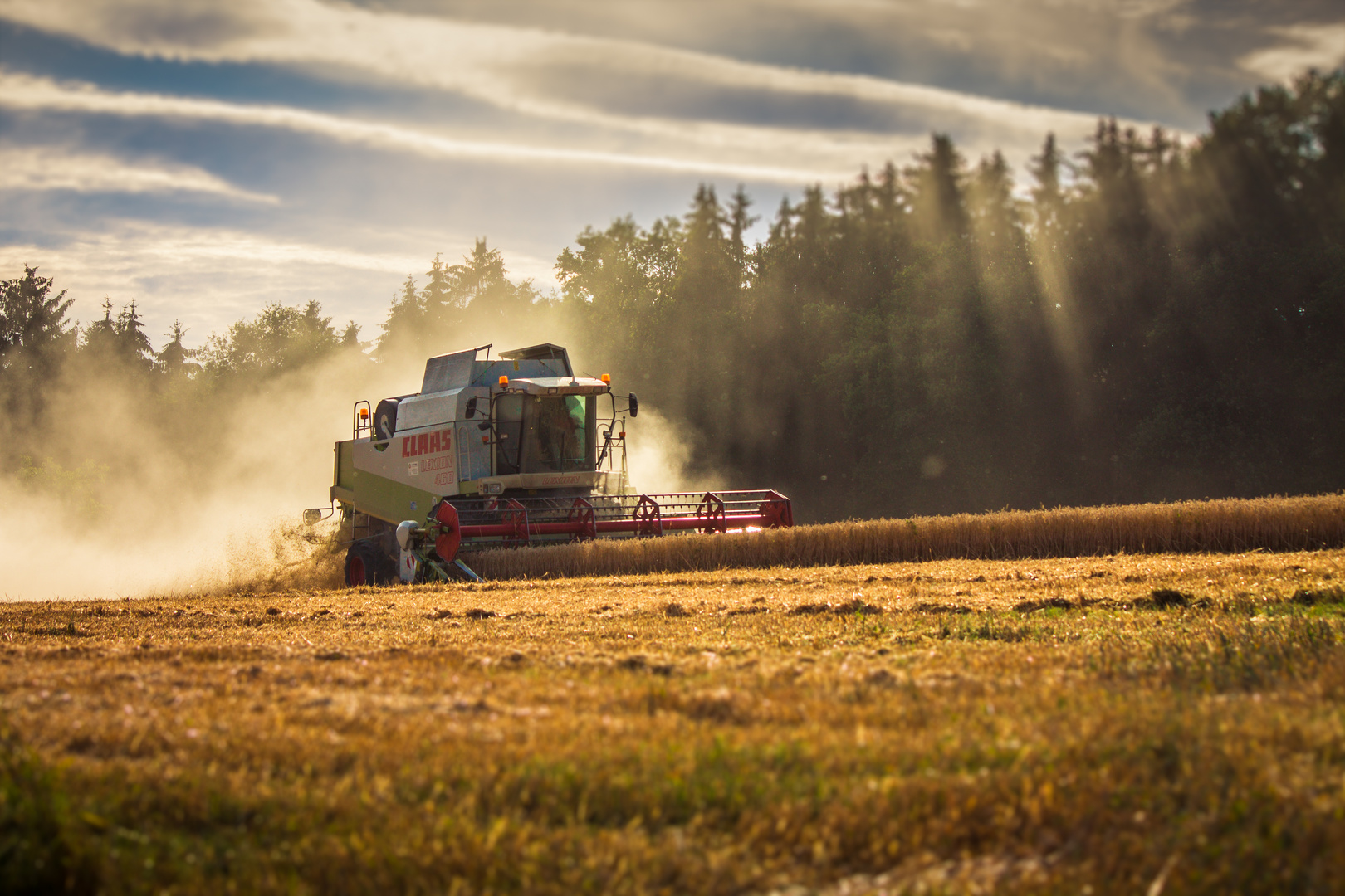 Claas Lexion 460 im Einsatz