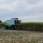 Claas Lexion 540 bei der Arbeit