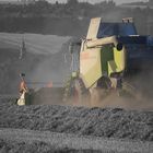 CLAAS Lexion 560