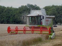 Claas Lexion 560