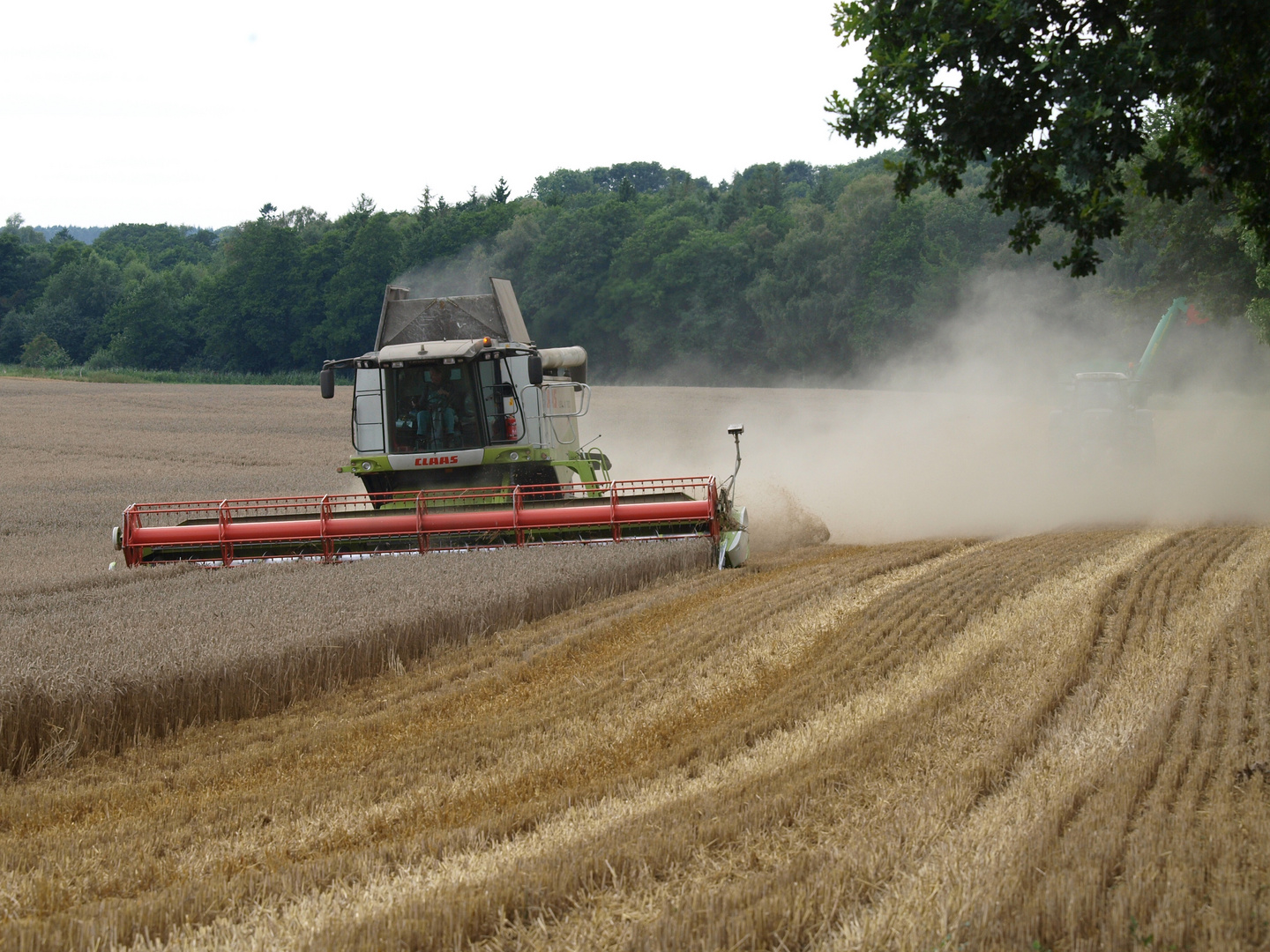 CLAAS LEXION 580 Terra Trac in Aktion .....