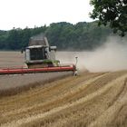 CLAAS LEXION 580 Terra Trac in Aktion .....