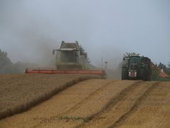 CLAAS LEXION 580 und FENDT 924 Vario bei der Arbeit.