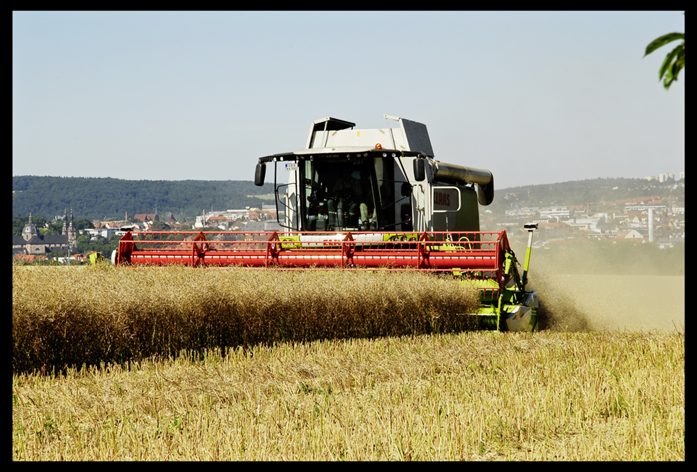 Claas Lexion 750 Montana bei der Rapsernte