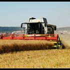 Claas Lexion 750 Montana bei der Rapsernte