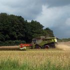 CLAAS LEXION 770