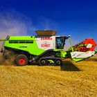 Claas Lexion 780 bei der Arbeit (2)