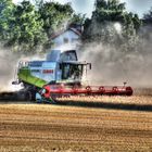 Claas Lexion beim Gerste mähen in der nähe von Schöningen