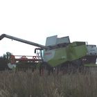 CLAAS Mähdrescher