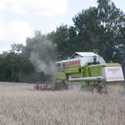 Claas Mähdrescher Bei der Arbeit