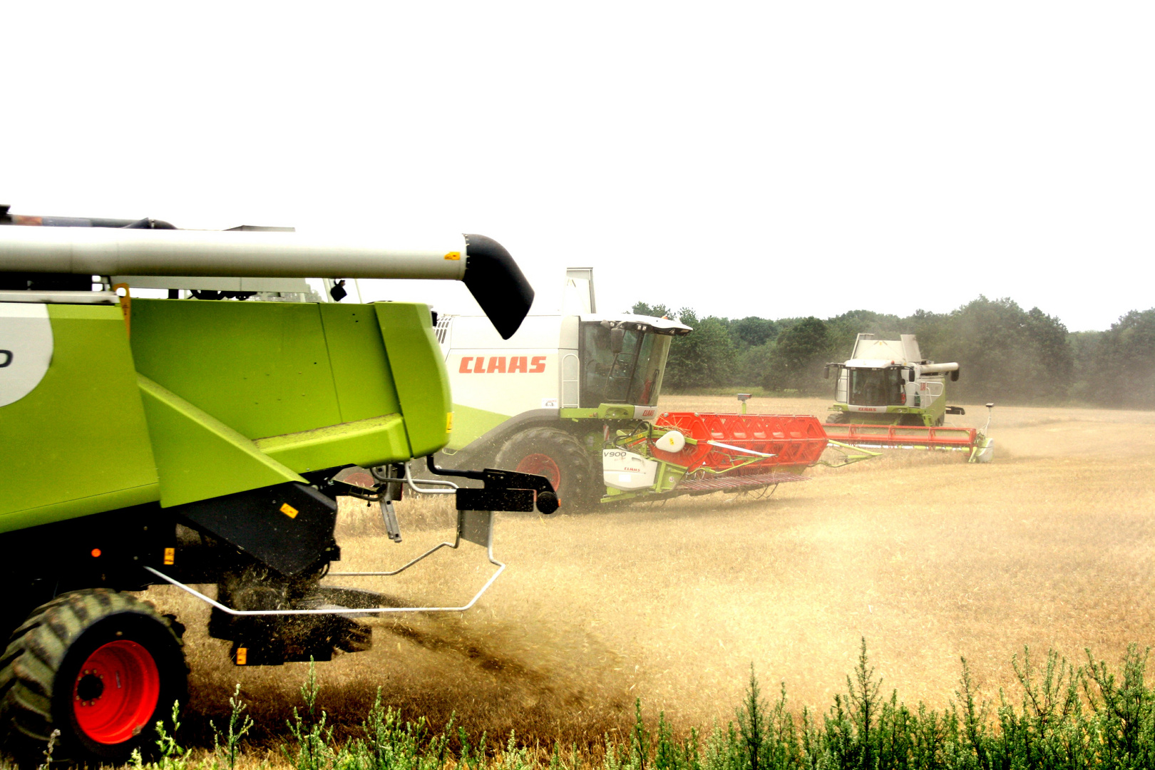 Claas Mähdrescher in der Ernte