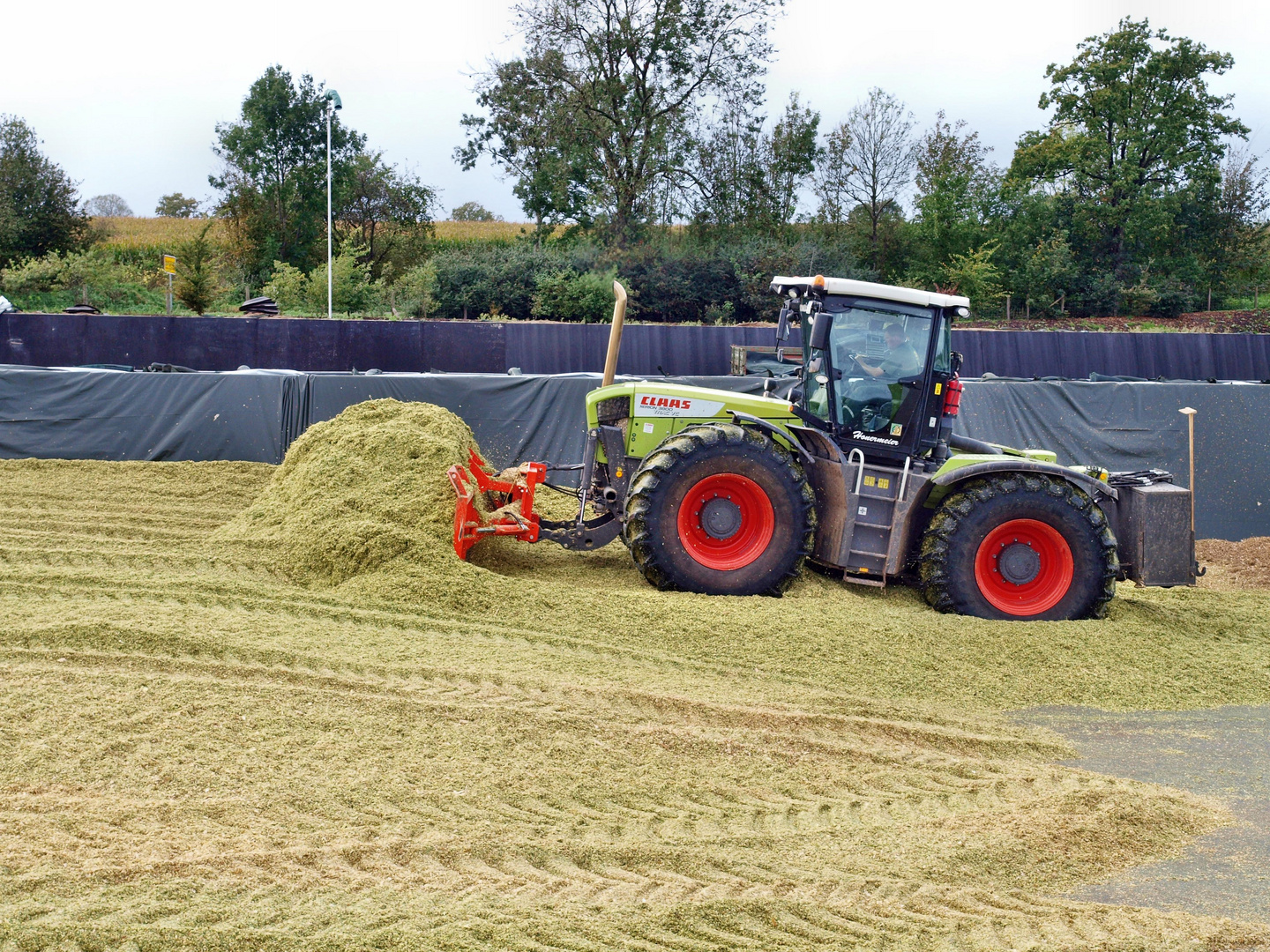 CLAAS Xerion 3800 TRAC VC als Maisschieber und Walze