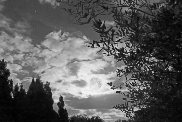 Clair de pleine lune nuageux