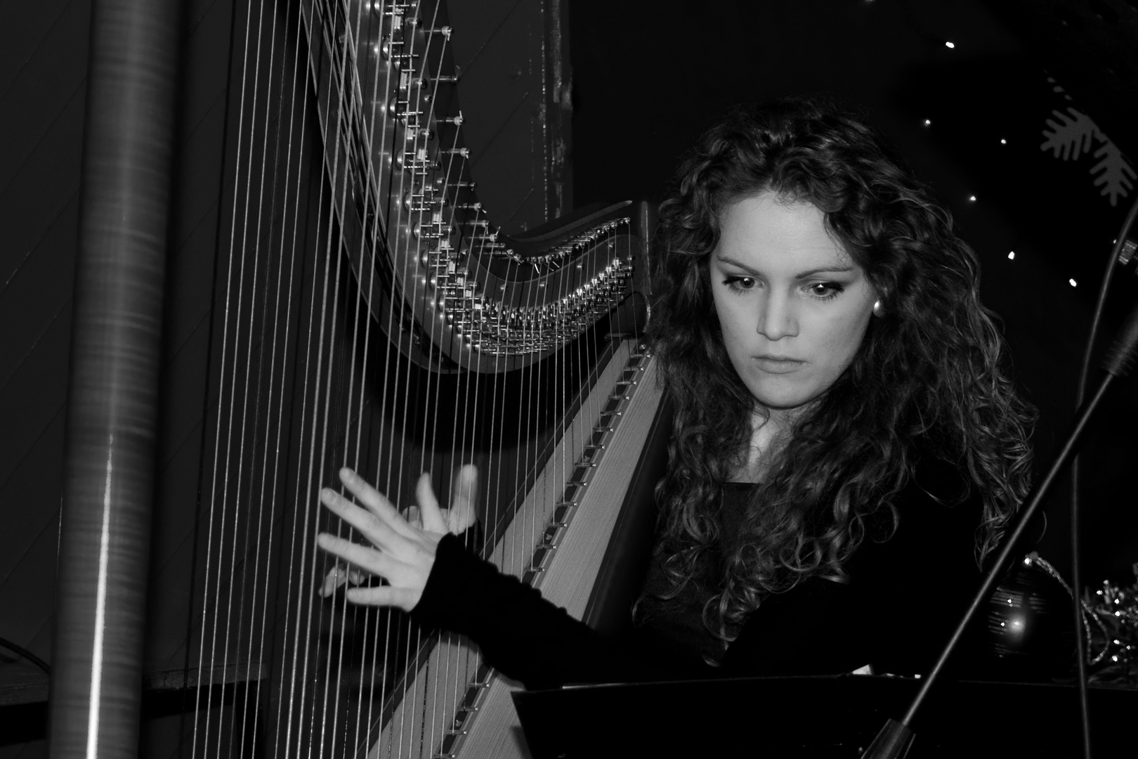 Claire O'Donnell - Harpist