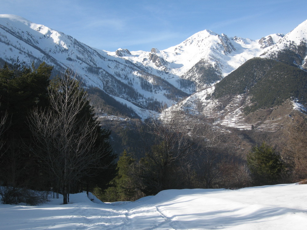 Clairière…