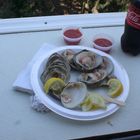 clambs with coke at beach