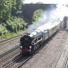 'Clan Line' hauling the VSOE in London