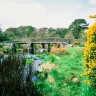 clapper bridge in postbridge