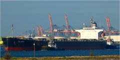 CLARA, Bulk carrier , Calandkanal / Rotterdam/ 23.10.2013