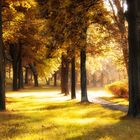 Clara-Zetkin-Park im Herbst 2