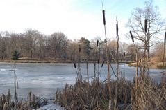 Clara Zetkin Park im Januar