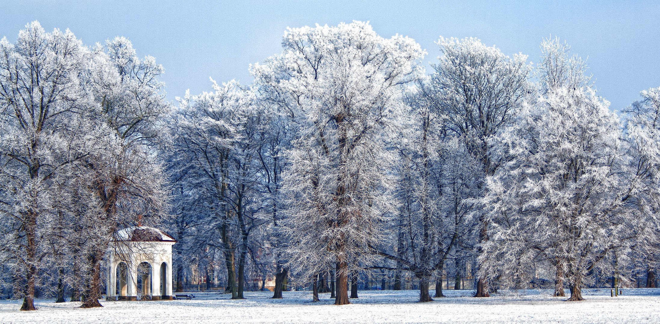 Clara-Zetkin-Park im Winter