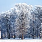 Clara-Zetkin-Park im Winter