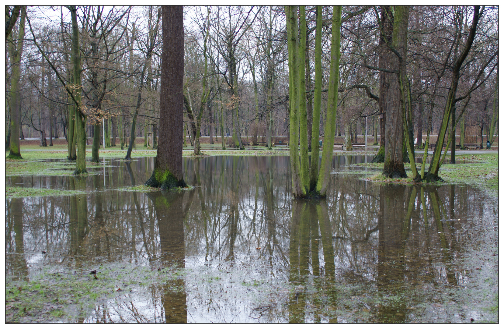 Clara Zetkin Park, Leipzig