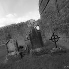 Clare Abbey, Friedhof, Irland 2019