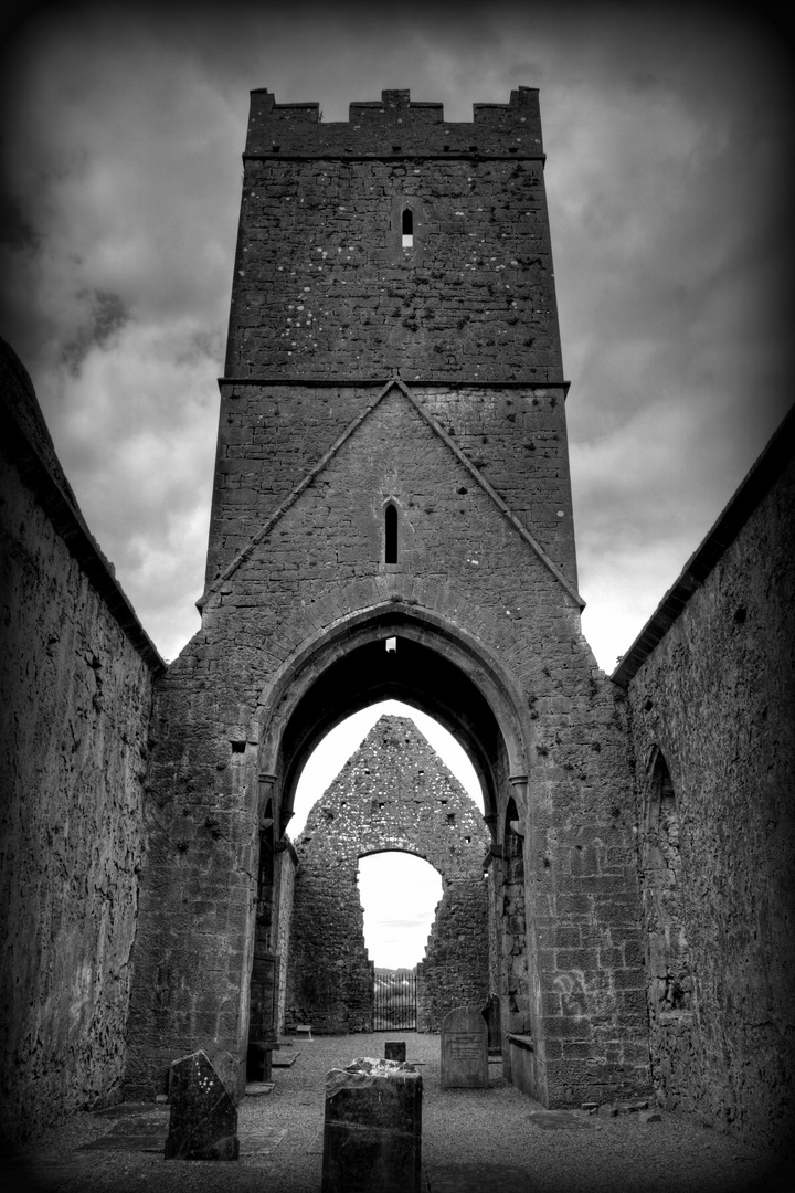 Clare Abbey Ruin