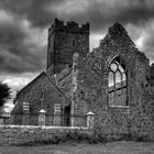 Clare Abbey Ruin