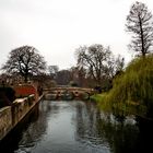 Clare Bridge - Cambridge